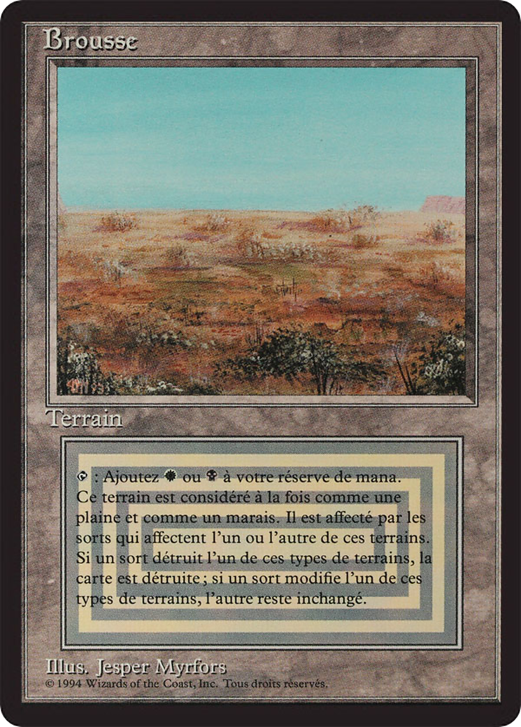 {F} Scrubland [Foreign Black Border][FBB 3ED 286]