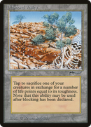 {C} Diamond Valley [Arabian Nights][ARN 073]
