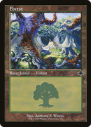 {B} Forest (411) (Retro) [Dominaria Remastered][DMR 411]