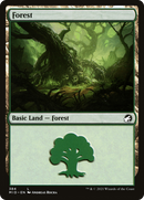 {B}[MID 384] Forest (384) [Innistrad: Midnight Hunt]