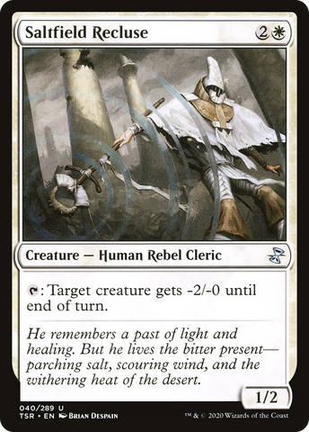 {C} Saltfield Recluse [Time Spiral Remastered][TSR 040]