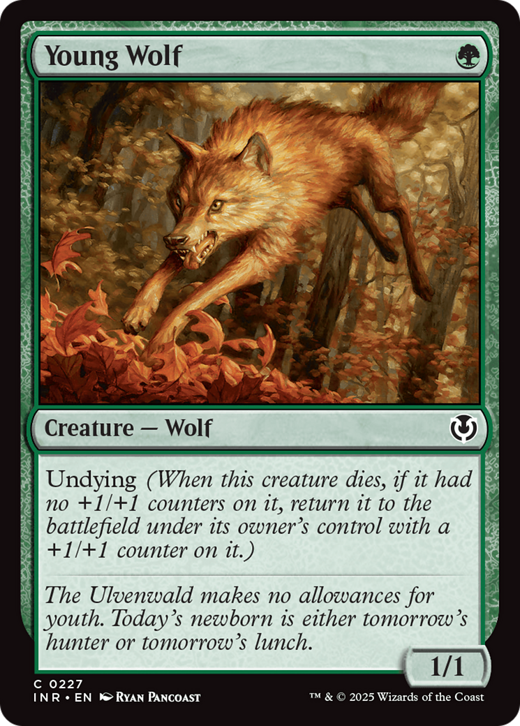 {C} Young Wolf [Innistrad Remastered][INR 227]