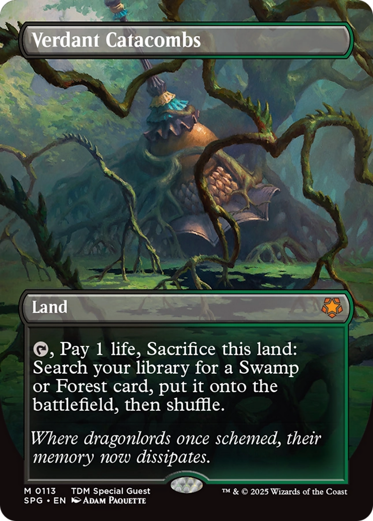 {R} Verdant Catacombs (Borderless) [Tarkir: Dragonstorm Special Guests][SPG 113]