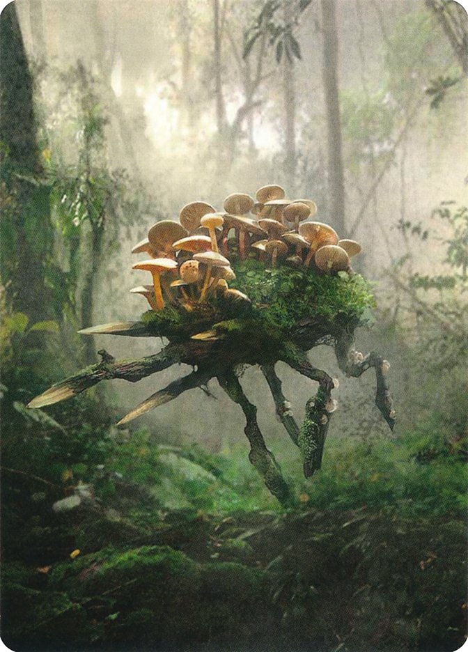 {T} Saproling // Saproling Double-sided Token [Unstable Tokens][TUST 014]