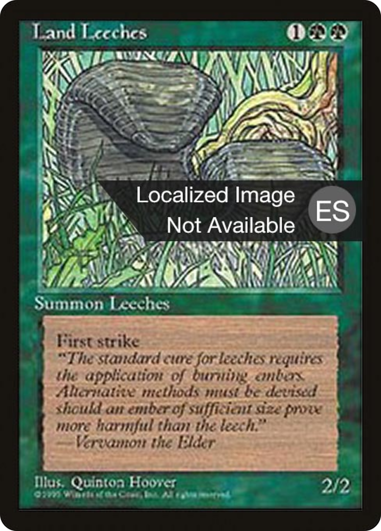 {F} Land Leeches [Fourth Edition (Foreign Black Border)][FBB 4ED 255]
