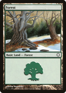 {B}[CST 381] Forest (381) [Coldsnap Theme Decks]