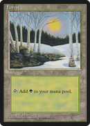 {B}[ICE 380] Forest (380) [Ice Age]