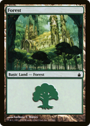 {B}[RAV 305] Forest (305) [Ravnica: City of Guilds]