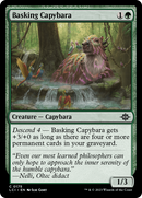 {@C} Basking Capybara [The Lost Caverns of Ixalan][LCI 175]