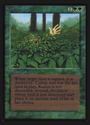{R} Kudzu [International Collectorsâ Edition][GB CEI 205]