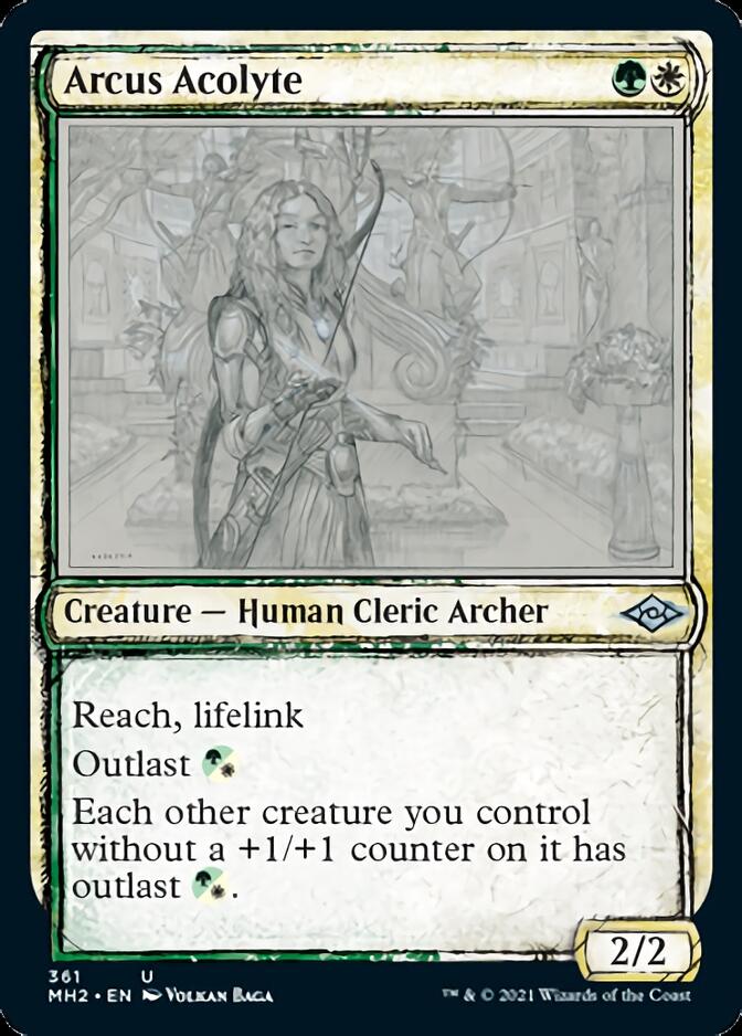 {C} Arcus Acolyte (Sketch) [Modern Horizons 2][MH2 361]