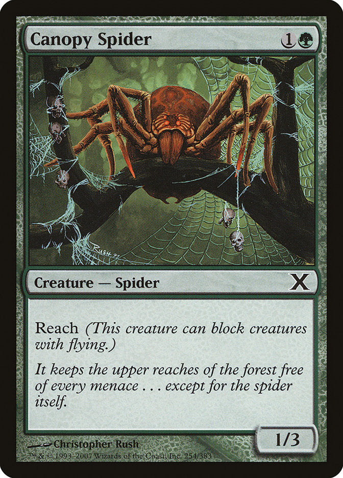 {C} Canopy Spider [Tenth Edition][10E 254]