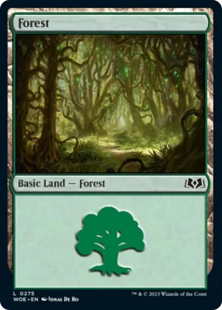 {B} Forest (0275) [Wilds of Eldraine][WOE 275]