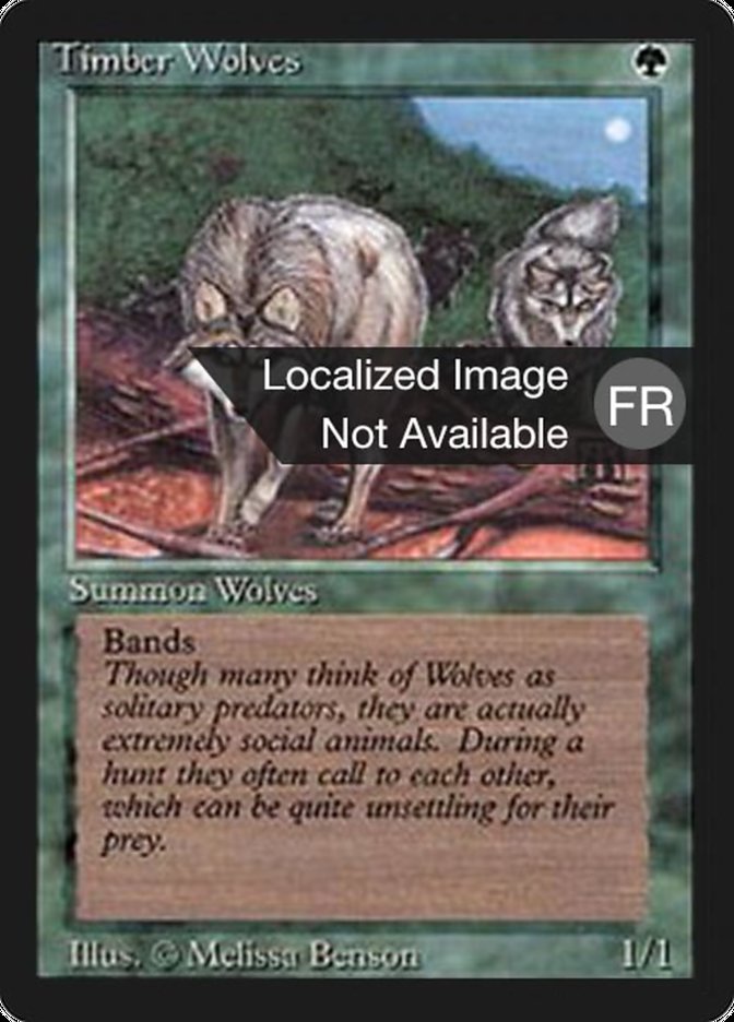 {F} Timber Wolves [Foreign Black Border][FBB 3ED 219]