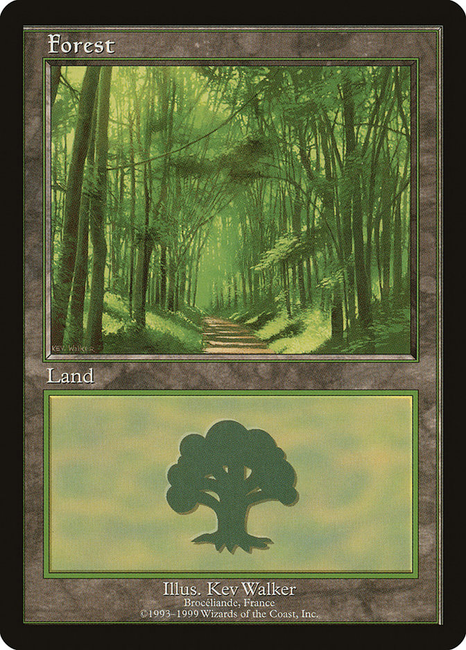 {B}[PA PELP 006] Forest (6) [European Land Program]