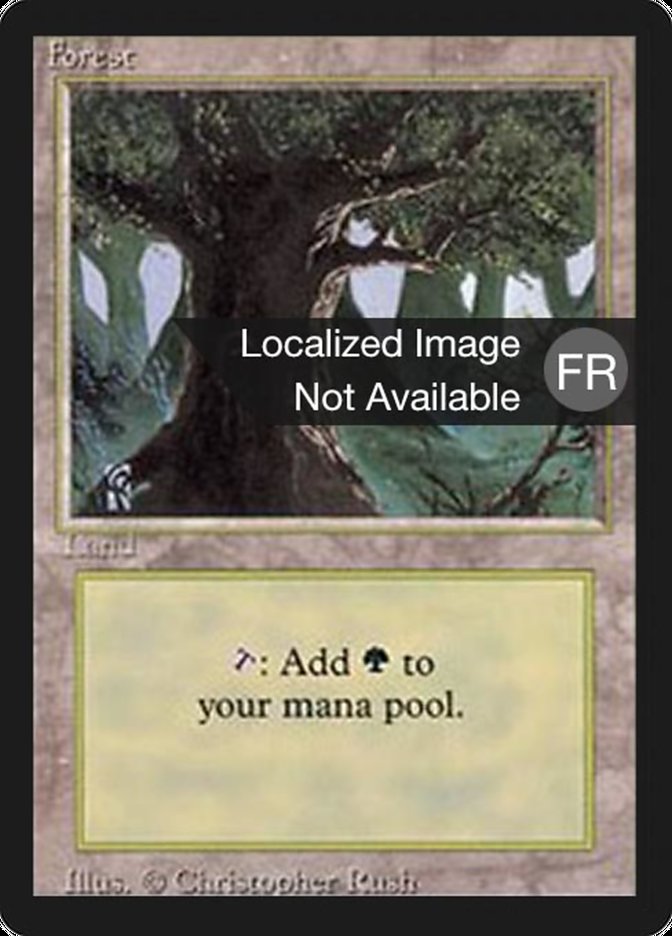 {B}[FBB 3ED 304] Forest (A) [Foreign Black Border]