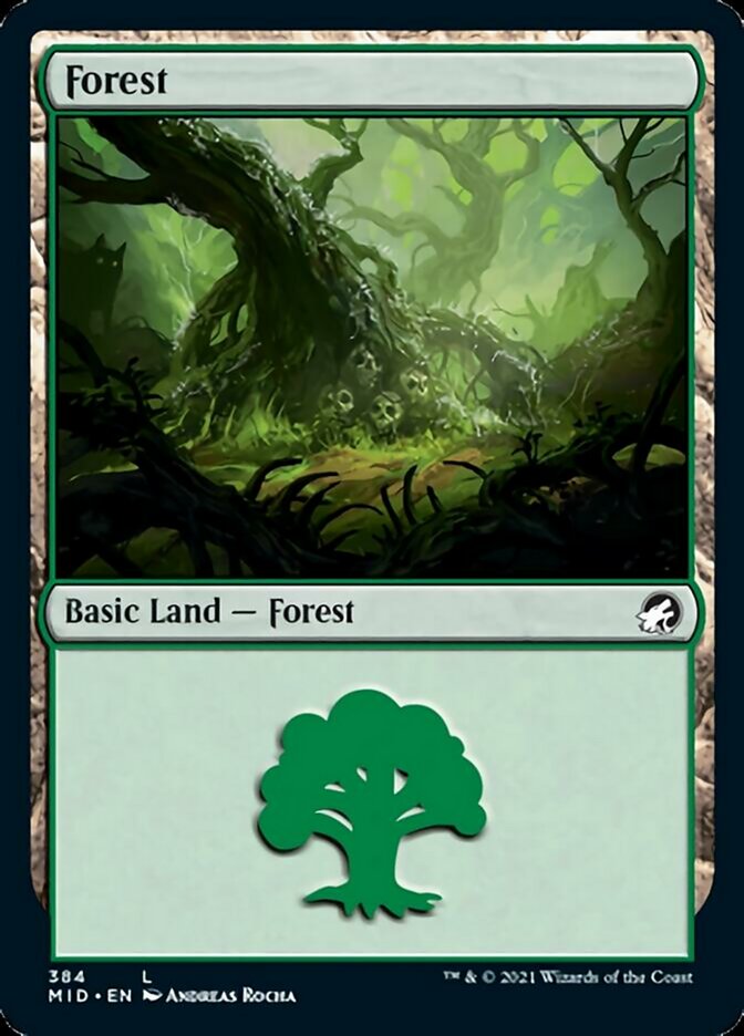 {B}[MID 384] Forest (384) [Innistrad: Midnight Hunt]