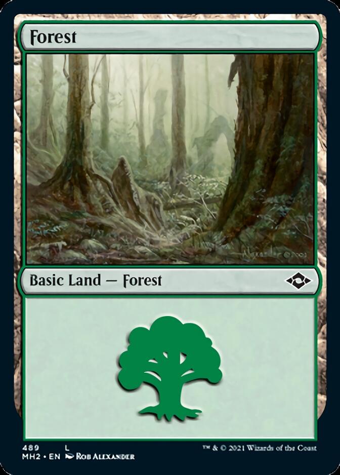 {B}[MH2 489] Forest (489) (Foil Etched) [Modern Horizons 2]